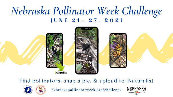 Nebraska Pollinator Week (2).png