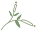 botanical_icons_03.png