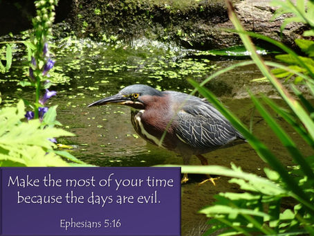 Make the Most of Your Time, All of the Time