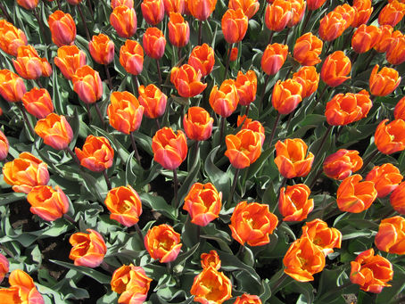 Neither Poverty Nor Riches