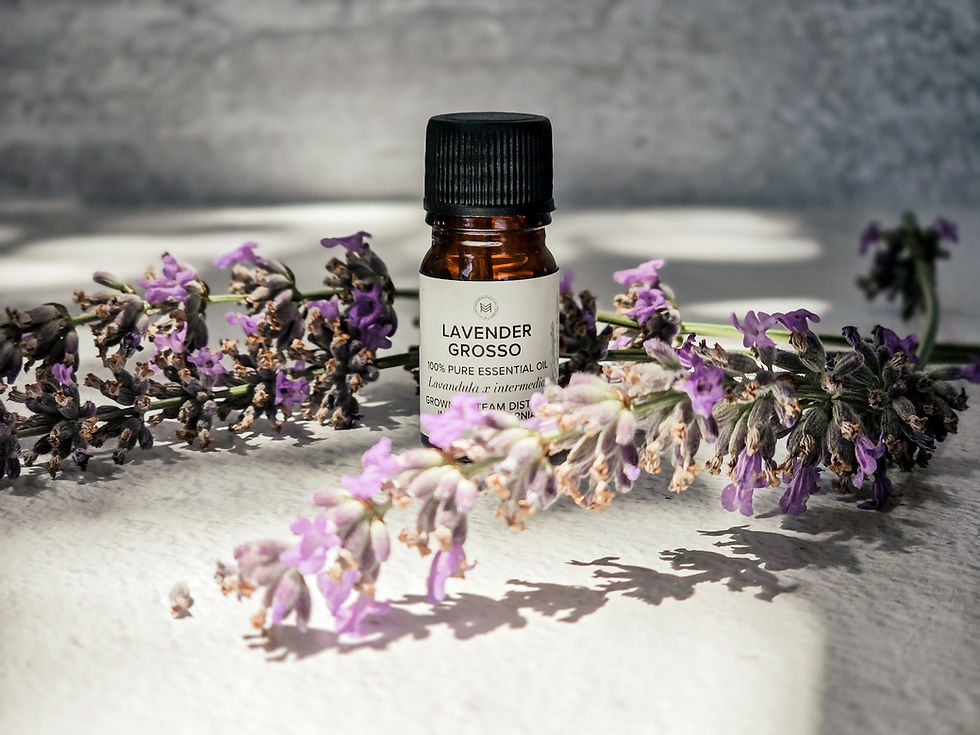 Lavender: Your Ally for Calm, Clarity, and Heart-Centered Healing.