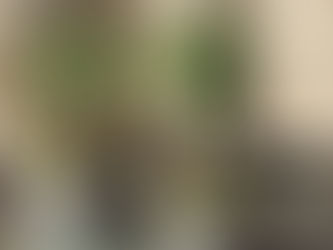 ２月グリーンショップ入荷情報