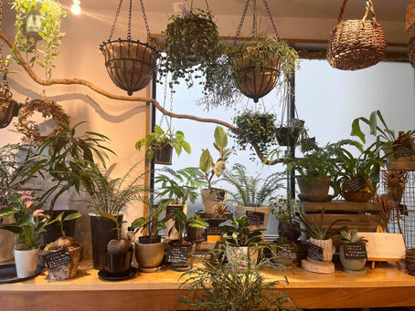 7月グリーンショップ入荷情報