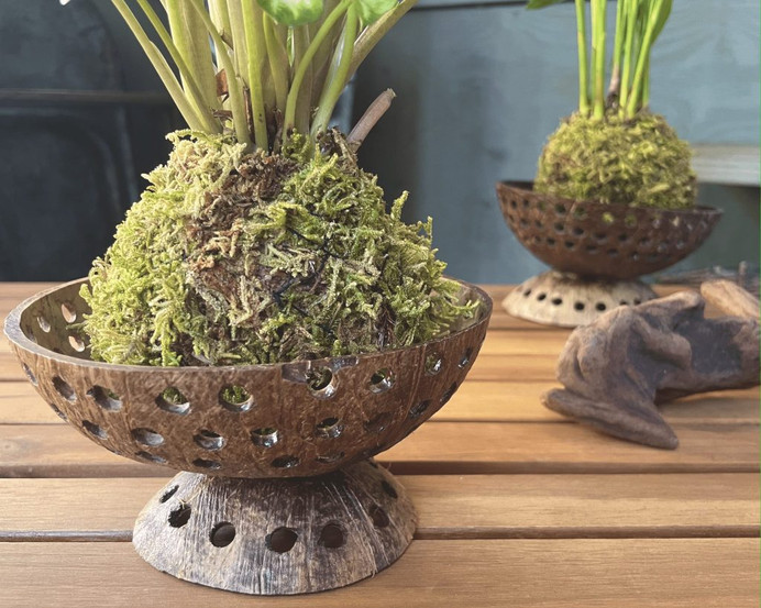 ハンドメイドの温もりがある台座。