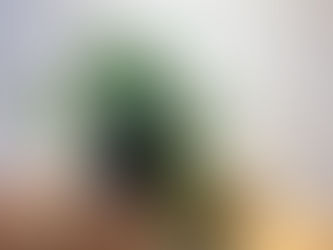 7月グリーンショップ入荷情報