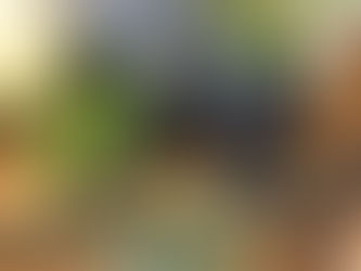 4月 グリーンギャラリー入荷情報