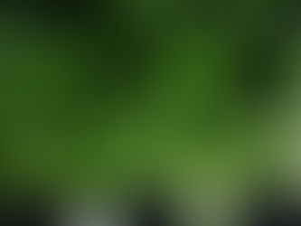 5月5日(日) 13:00　くらうま住まいづくり講座