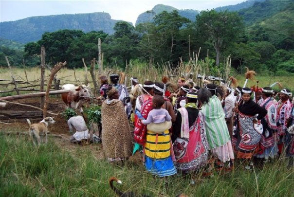 at the kraal.jpg