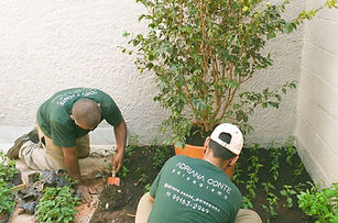 Jardineiros da equipe profissional de Adriana Conte Paisagismo plantando mudas em pequeno jardim
