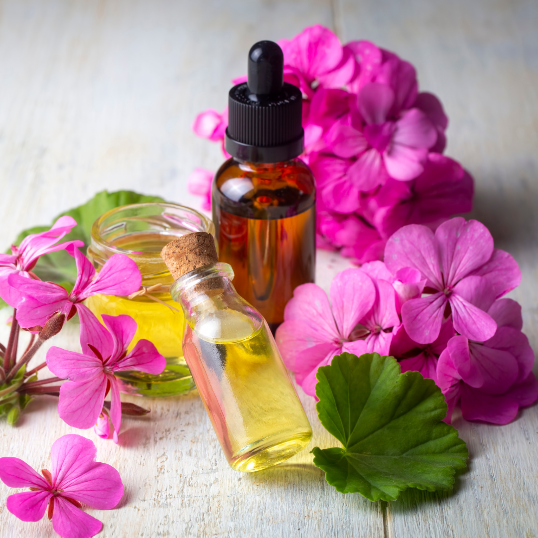 Rose Geranium Essential Oil