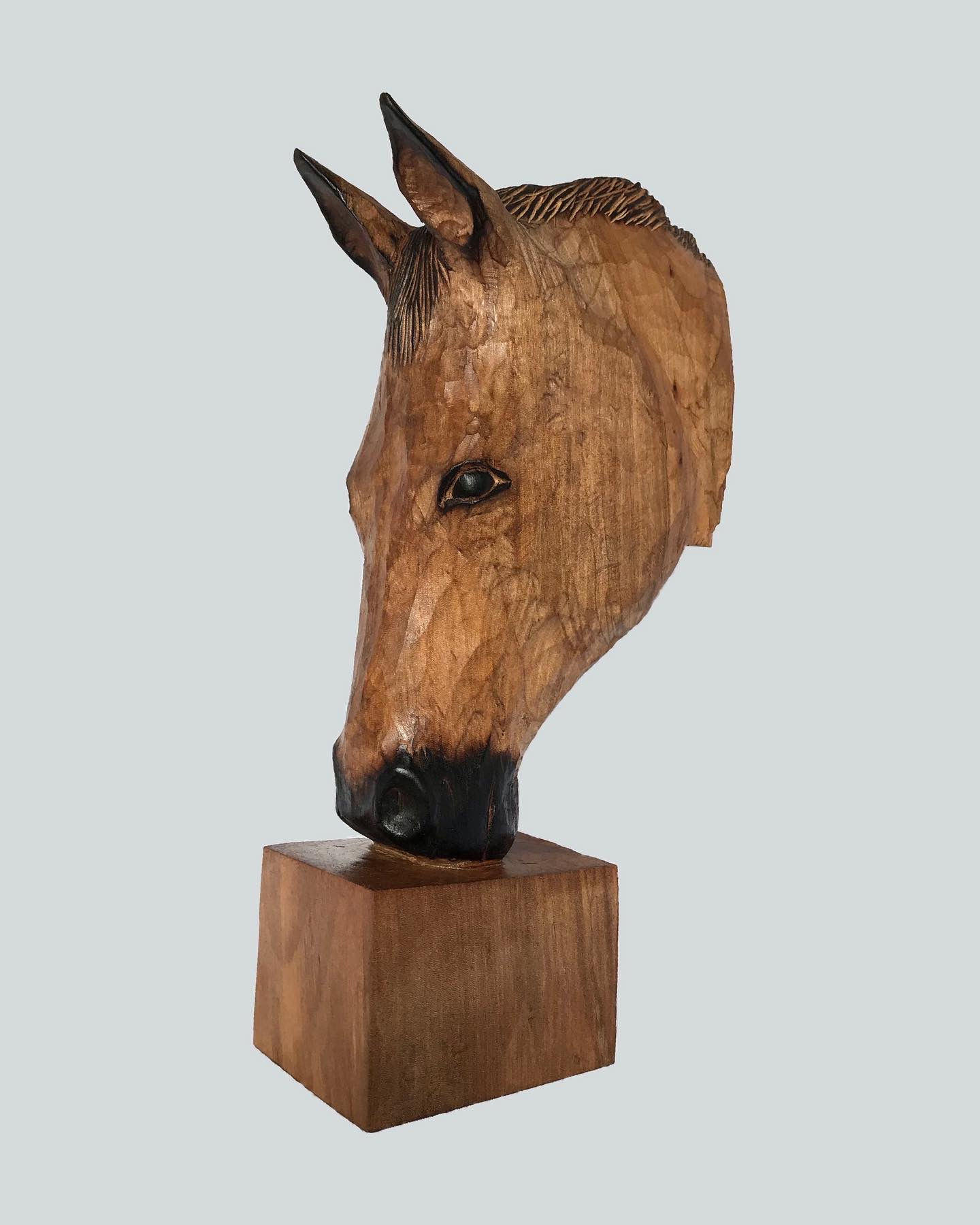 Cabeza de caballo