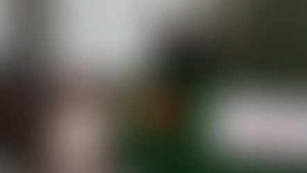 Christmas Returns to the People’s White House Under the Trumps