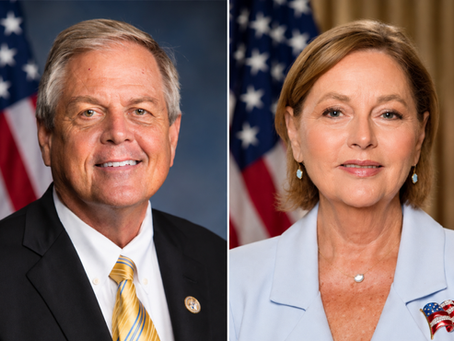 South Carolina Republicans Vote in High-Stakes Senate Showdown Between Darline Graham and Ralph Norman
