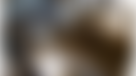 Barbarism Exposed: Hardline Settlers Murder Baby Lambs as Violence Spirals in West Bank