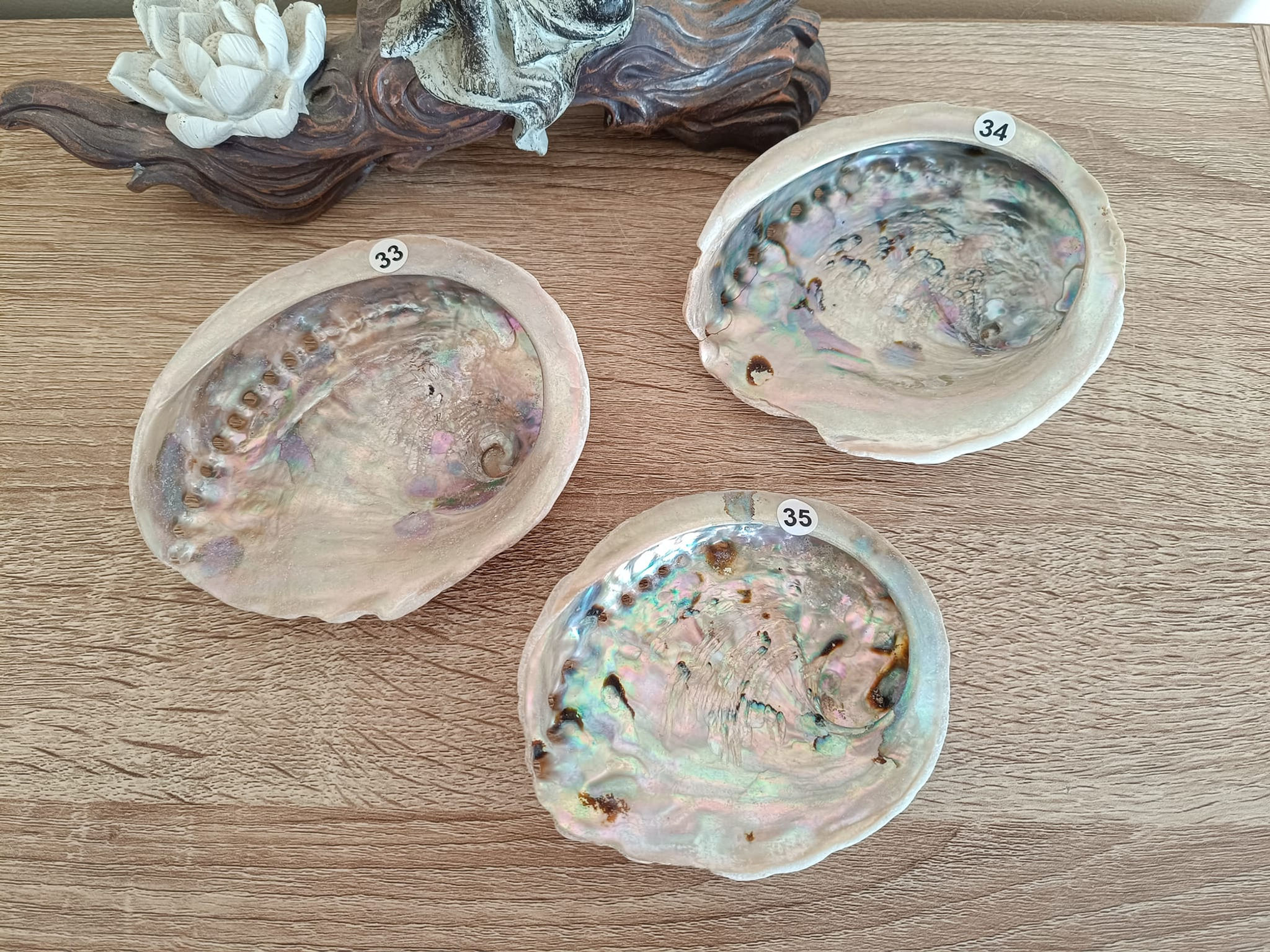 Coquilles d'ormeaux