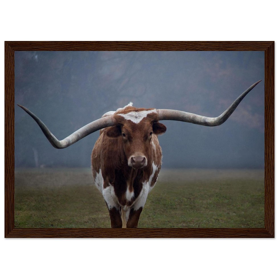 Thumbnail: Texas Longhorn Wall art