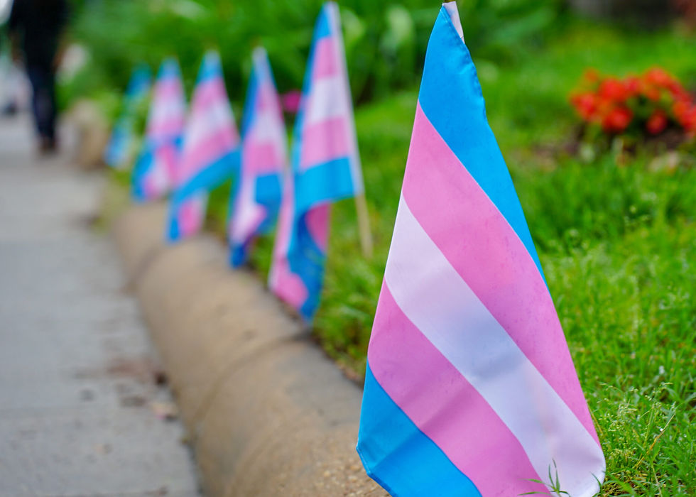 La protection des élèves trans à l'école : enjeux et approches