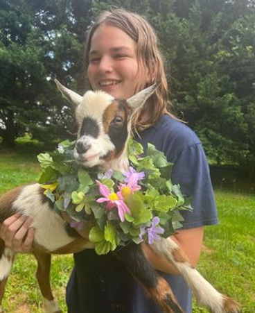 G.O.A.T. Party Animal Goat with a friend