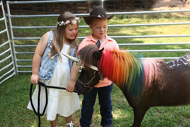 Haystack Homestead Unicorn Lacey & 2 little friends cowboy and his sister (Lacey the Unicorn, Haystack Homestead Unicorn Lacey the unicorn, unicorn for rent, unicorn party, unicorn visit, unicorn-gram, live unicorn, unicorn for party unicorn for event
