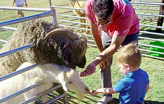 employee and son fun at corporate mobile pettin zoo
employee moral