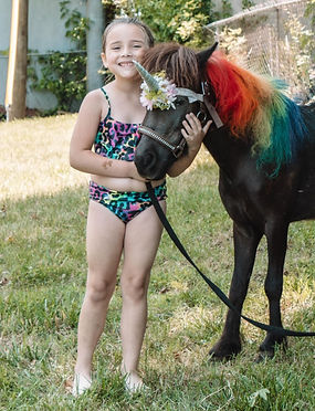 Experience Gift of a Unicorn-Gram / Animal-Gram Haystack Homestead Unicorn Lacey the perfect experience gift. Animal-grams are the best gift experiences