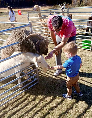 Angora & Nigerian Dwarf Goats - Haystack Homestead - Northstone Country Club.jpg