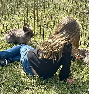 2 Bunnies in bunny pen at Haystack Homestead Traveling Farm Petting Zoo.jpg