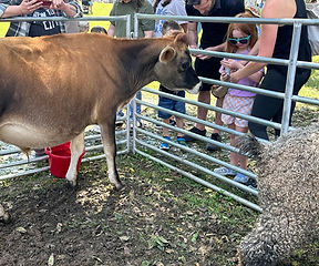 Bethabra Apple Fest 2 Haystack Homestead Farm Zoo at Winston Salem NCl Traveling Petting
