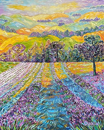 Lavender fields