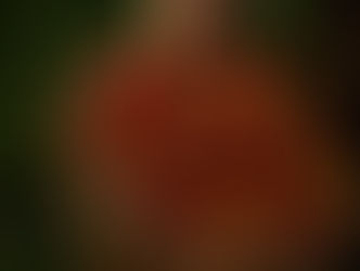 A Season to Live