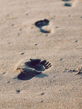 Did Jesus Walk With Me?