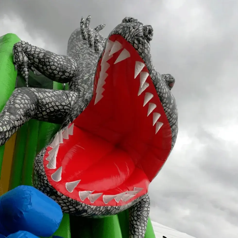 Miniature : TOBOGGAN CAIMAN
