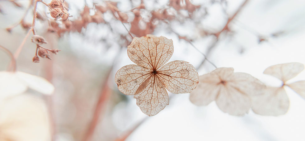 Het kind in deze tijd pexels-drew-anderson-1821361-5549936.jpg