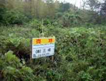 再建不可.jpg