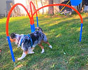 IMG_2561[1]_edited_edited.jpg