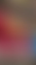 Collecting Trading Cards!