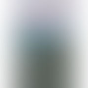 Lessons from Rees Howells