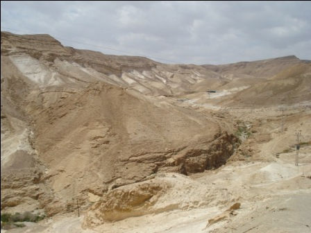 Report from the Judean Wilderness