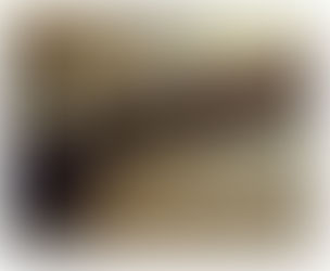 Praise Report on Bill C-2