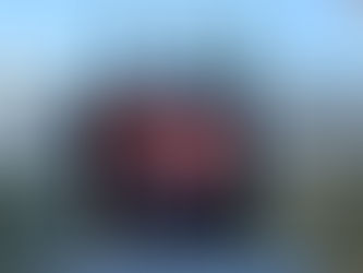 The full text of the apology