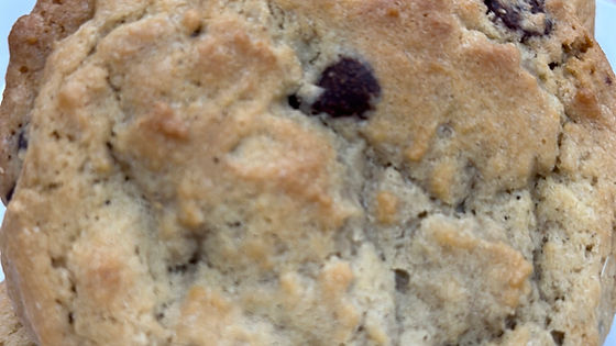 Chocolate Chip Cookie