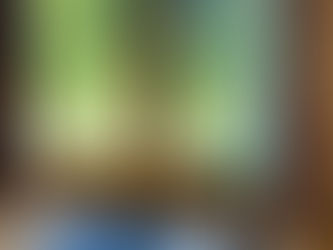 外出自粛の中、ヨガのアーサナを伝える