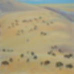 Bison Herd IV