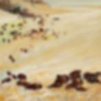 Bison Herd VII