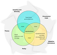 066ab2_cbd8b2195347443aa9c464cb88575bd3~mv2.png