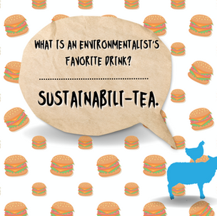Embracing Sustainability: Transforming Your Home into an Eco-Friendly Haven