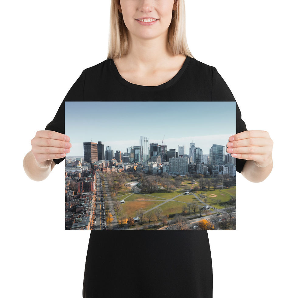 Thumbnail: Boston Common Skyline