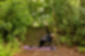 A human doing yoga 1 (1)_edited.jpg