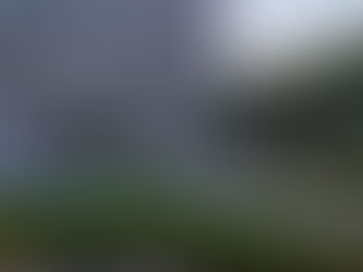 ✨Eglet Presents Bridgerton✨