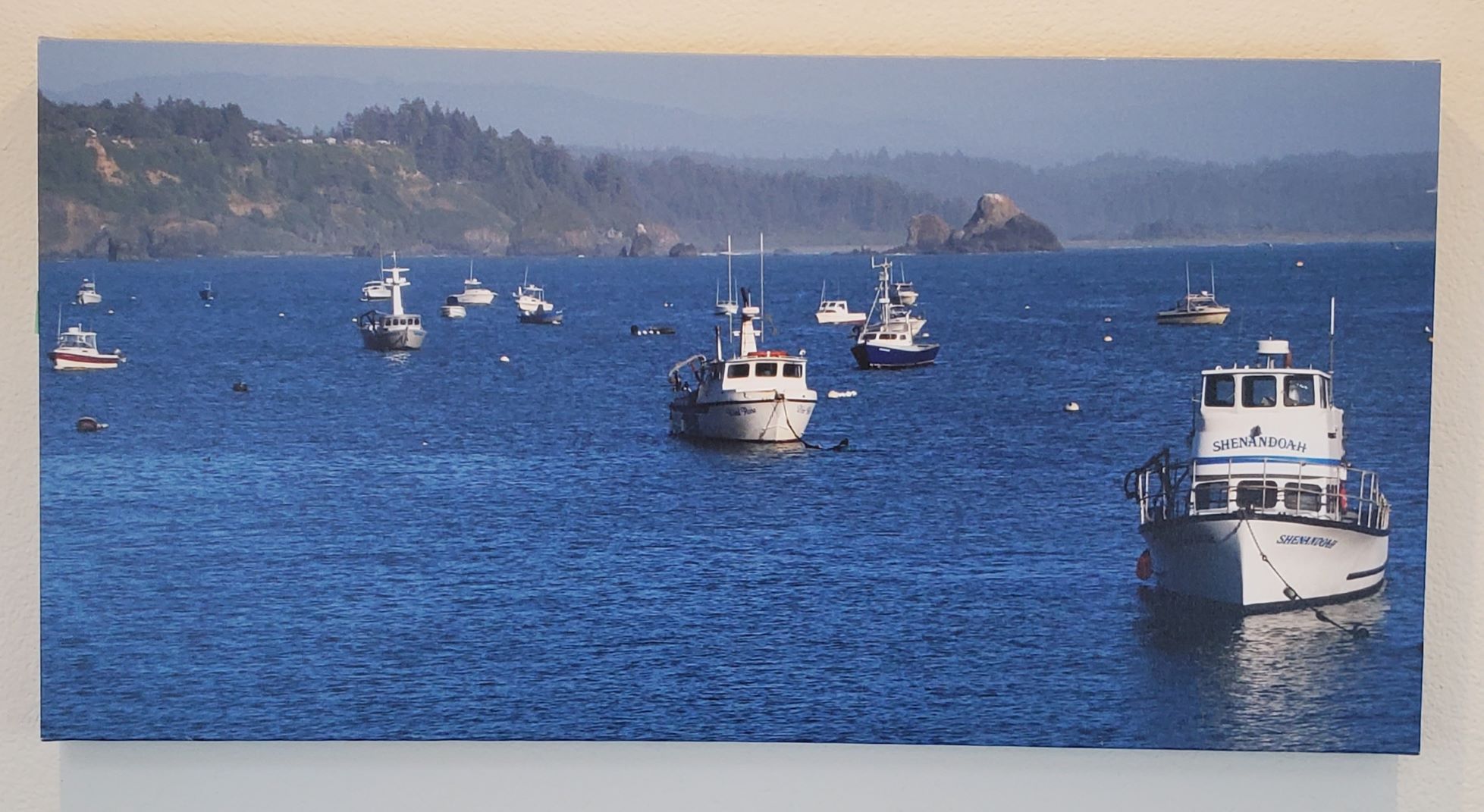 The Safe Harbor